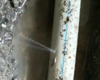 宁河卫生间测漏水多少钱