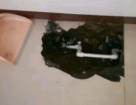 宁河卫生间测漏水多少钱